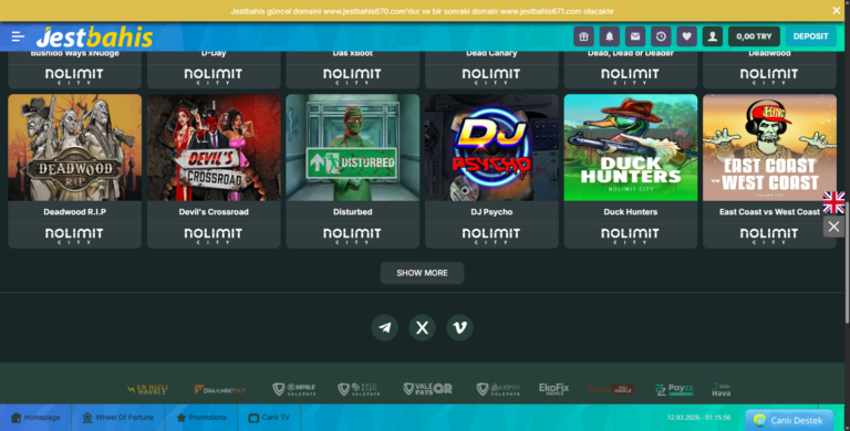 jestbahis 163